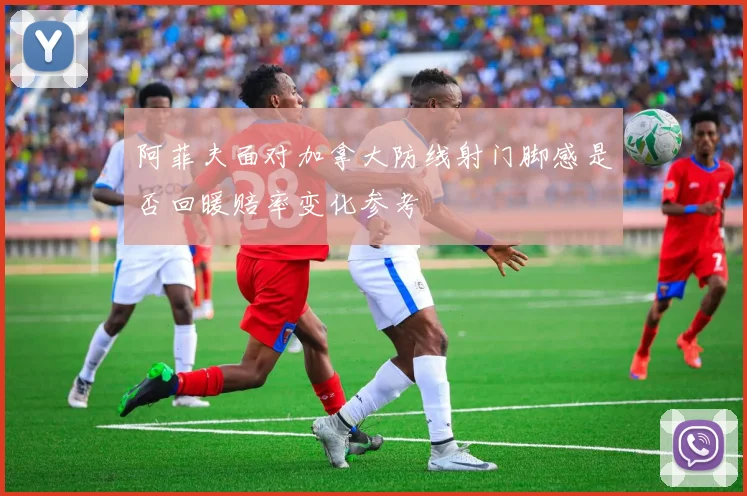 阿菲夫面对加拿大防线射门脚感是否回暖赔率变化参考