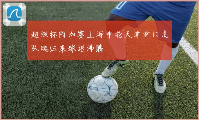 超级杯附加赛上海申花天津津门虎队魂归来球迷沸腾
