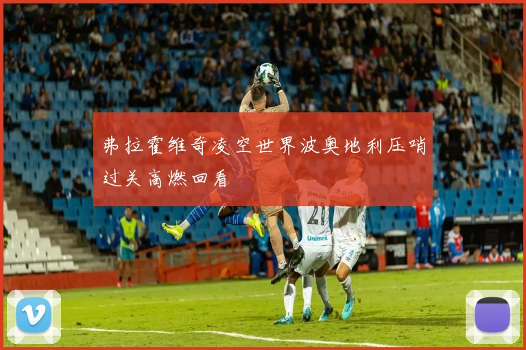 弗拉霍维奇凌空世界波奥地利压哨过关高燃回看