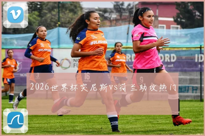 2026世界杯突尼斯vs荷兰助攻热门