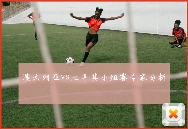 澳大利亚vs土耳其小组赛专家分析