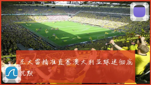 王大雷精准直塞澳大利亚球迷彻底沉默
