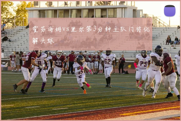 霍芬海姆vs里尔第3分钟主队门将化解头球