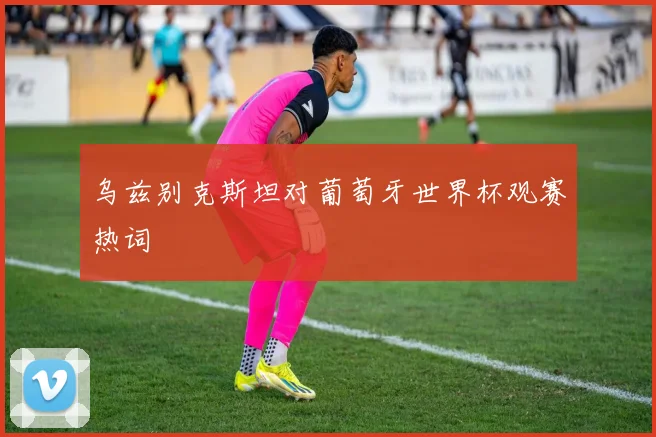 乌兹别克斯坦对葡萄牙世界杯观赛热词