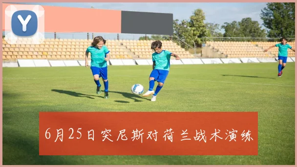 6月25日突尼斯对荷兰战术演练
