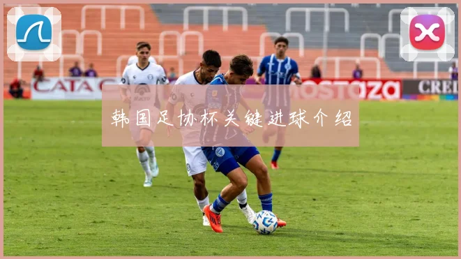 韩国足协杯关键进球介绍
